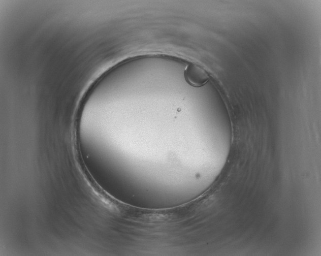 X0000062671517200512281725