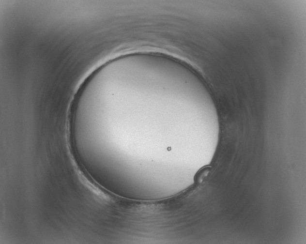 X0000062671518200512281726