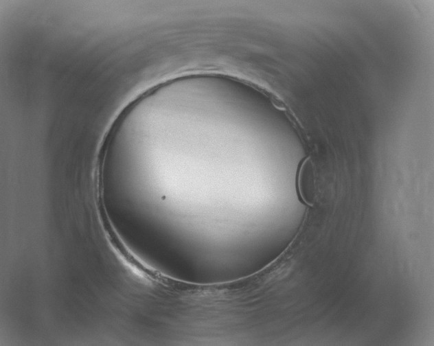 X0000062671519200512281726