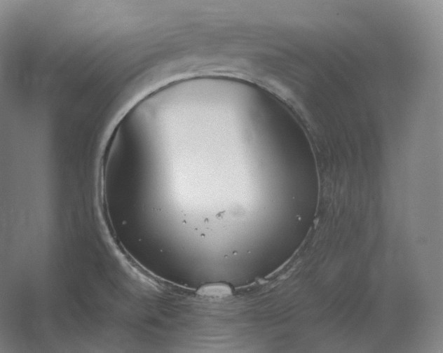 X0000062671520200512281726