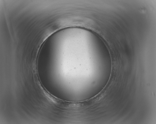 X0000062671521200512281726