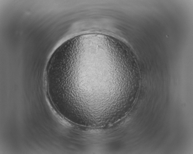 X0000062671522200512281726