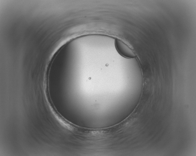 X0000062671523200512281726