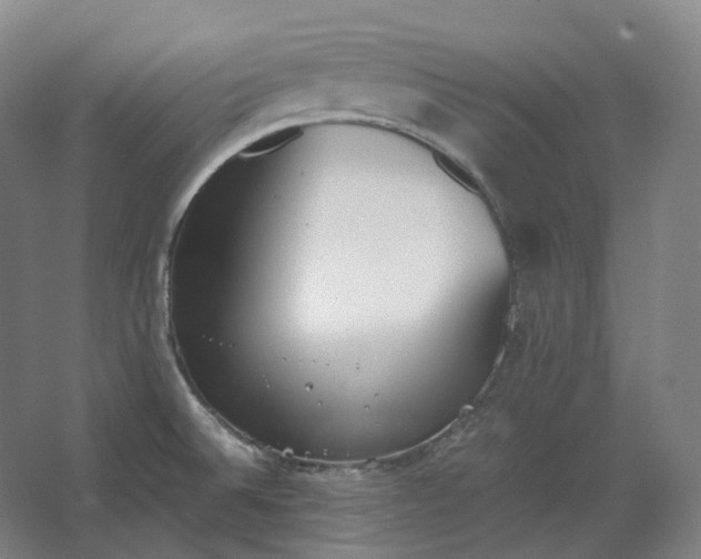 X0000062671524200512281726