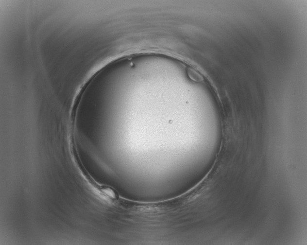 X0000062671525200512281726