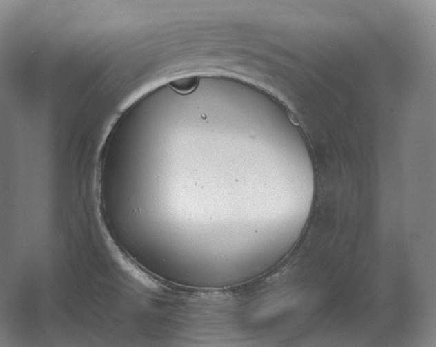 X0000062671526200512281726