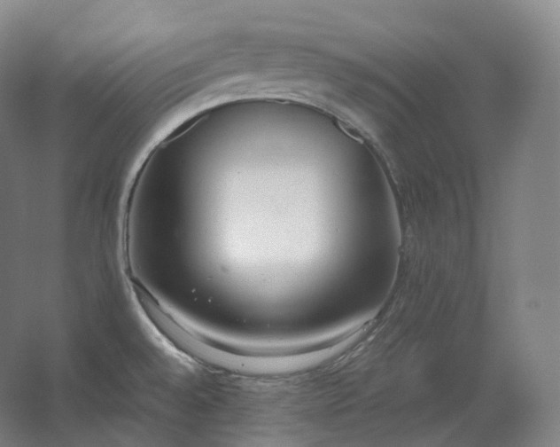 X0000062671528200512281726