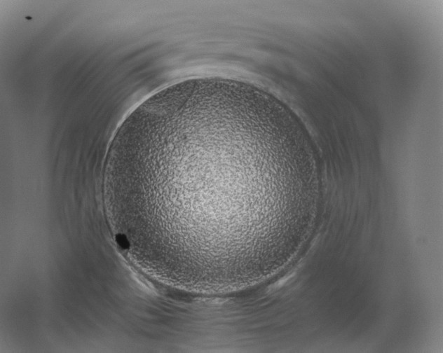 X0000062671529200512281726