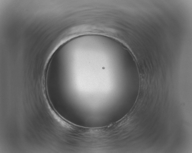 X0000062671531200512281726