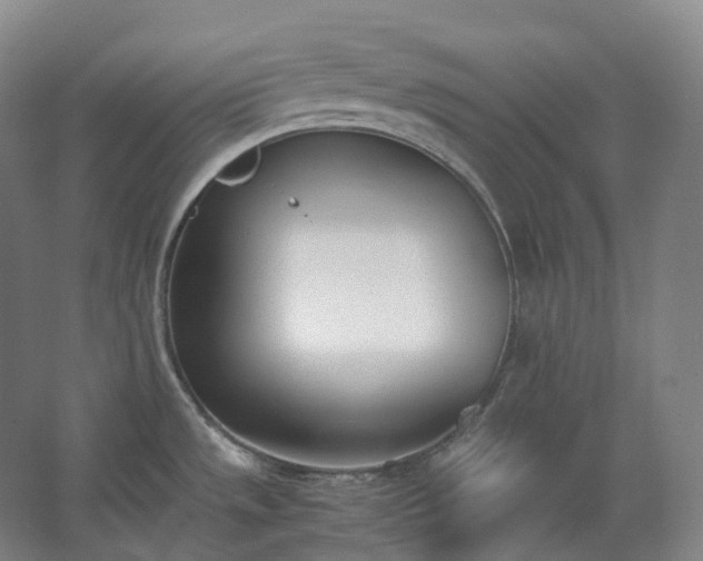 X0000062671533200512281726