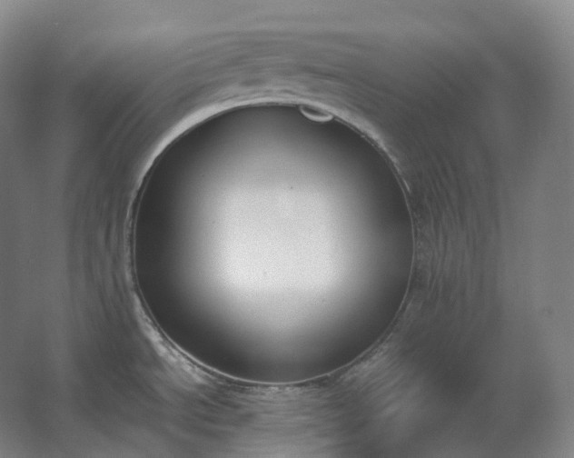 X0000062671534200512281726