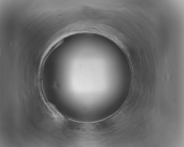 X0000062671536200512281726