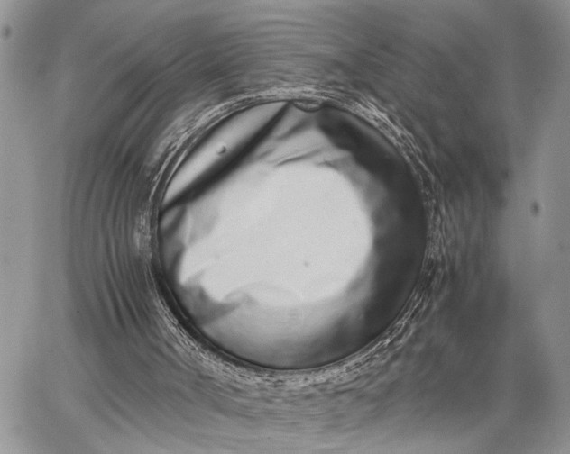 X0000062670002200601041022