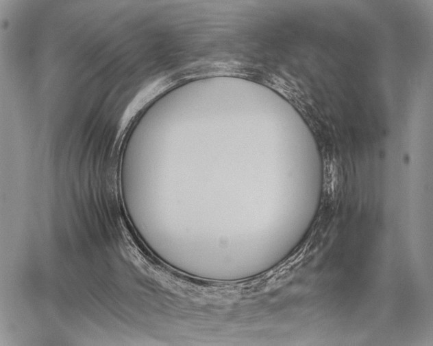 X0000062670004200601041022