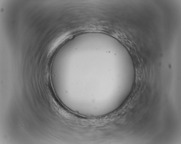 X0000062670005200601041022