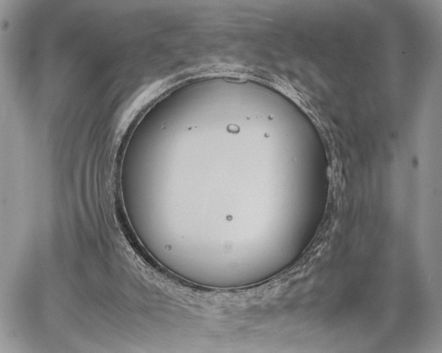 X0000062670007200601041021