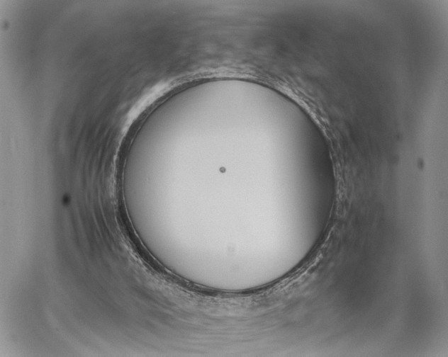 X0000062670008200601041021