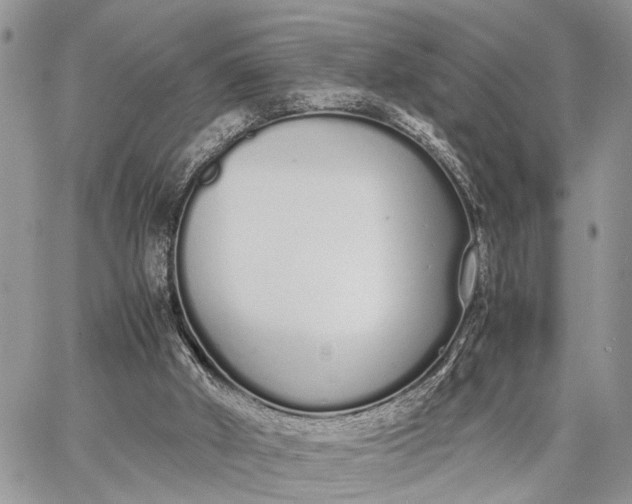 X0000062670010200601041021