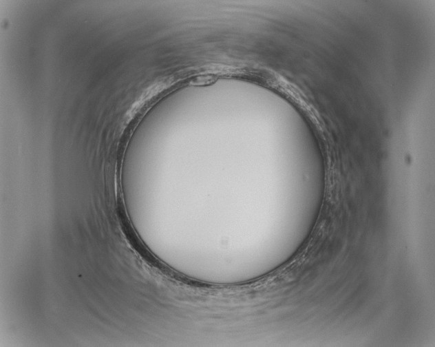 X0000062670011200601041021