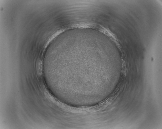 X0000062670012200601041021