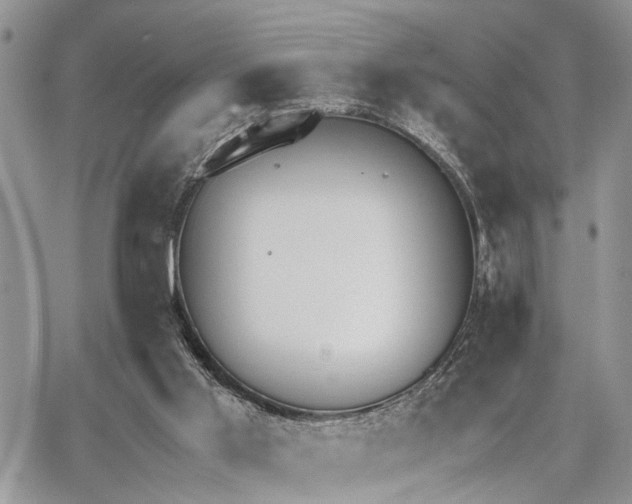 X0000062670013200601041021