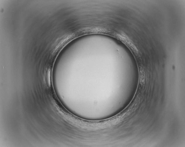 X0000062670014200601041021