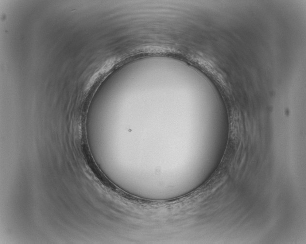 X0000062670015200601041021