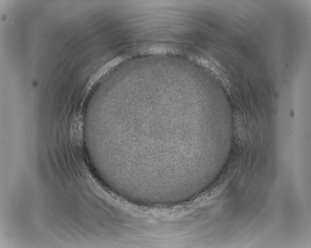 X0000062670016200601041021