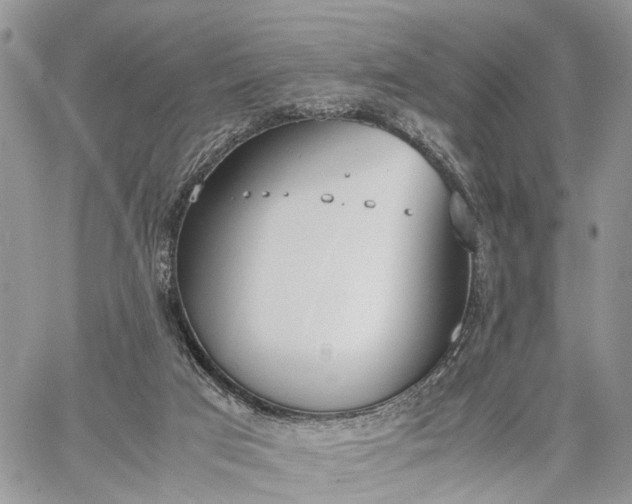 X0000062670017200601041021