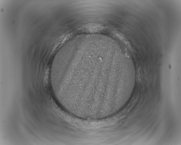 X0000062670018200601041021