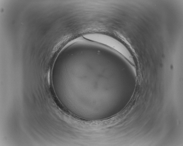 X0000062670019200601041021