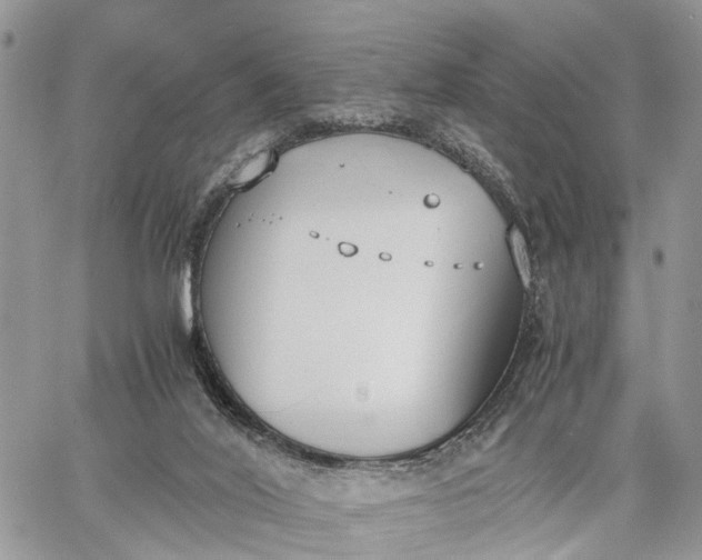 X0000062670020200601041021