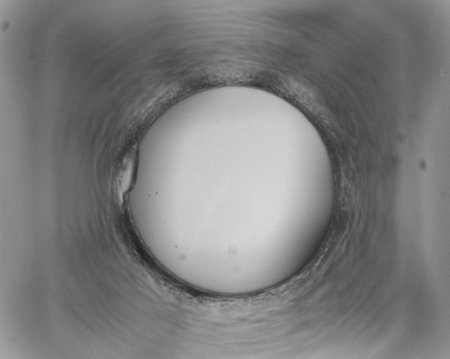 X0000062670021200601041021