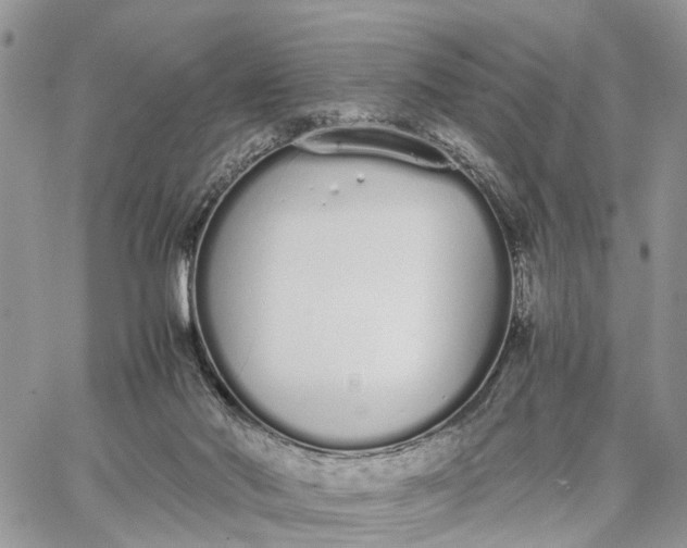 X0000062670022200601041021