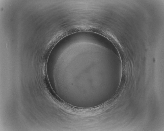 X0000062670023200601041021