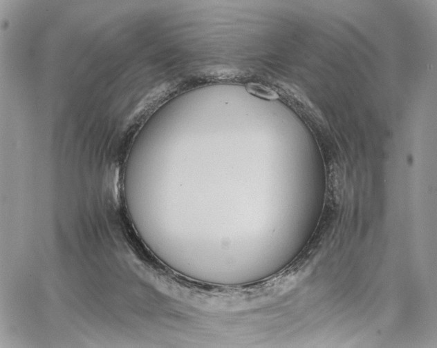 X0000062670024200601041021