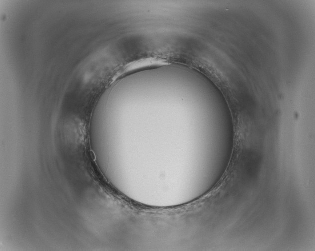 X0000062670025200601041021