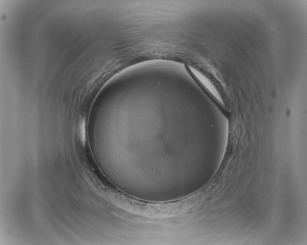 X0000062670027200601041021