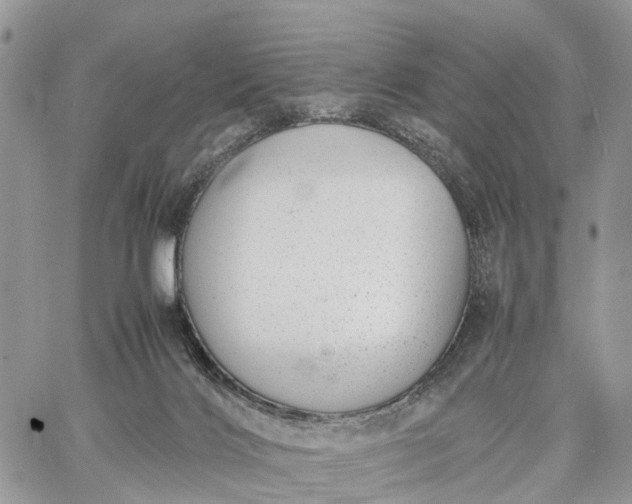 X0000062670028200601041021