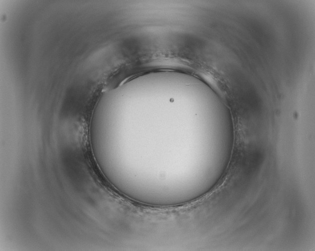 X0000062670029200601041021