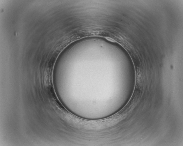 X0000062670030200601041021