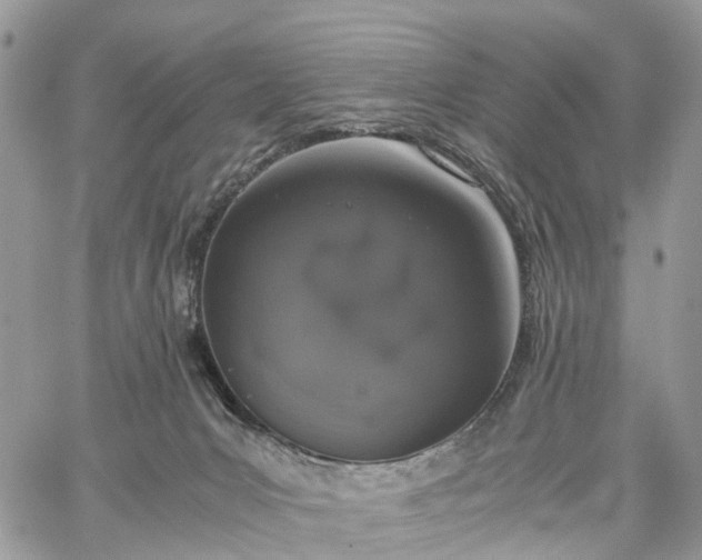 X0000062670031200601041021