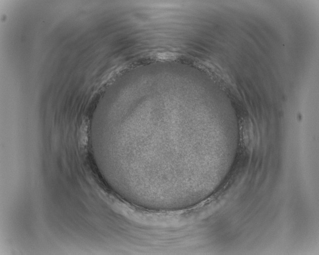 X0000062670032200601041021