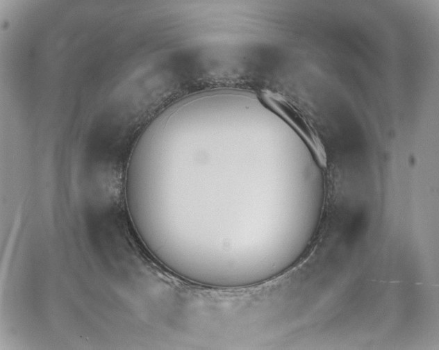 X0000062670033200601041021