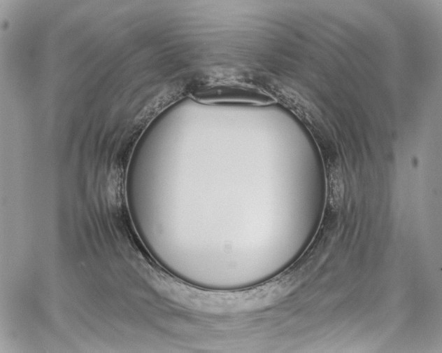 X0000062670034200601041021