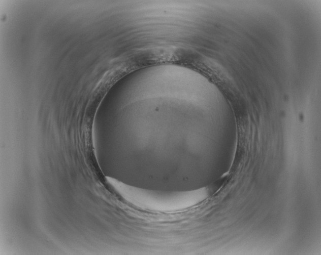 X0000062670035200601041021