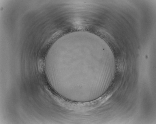 X0000062670036200601041021