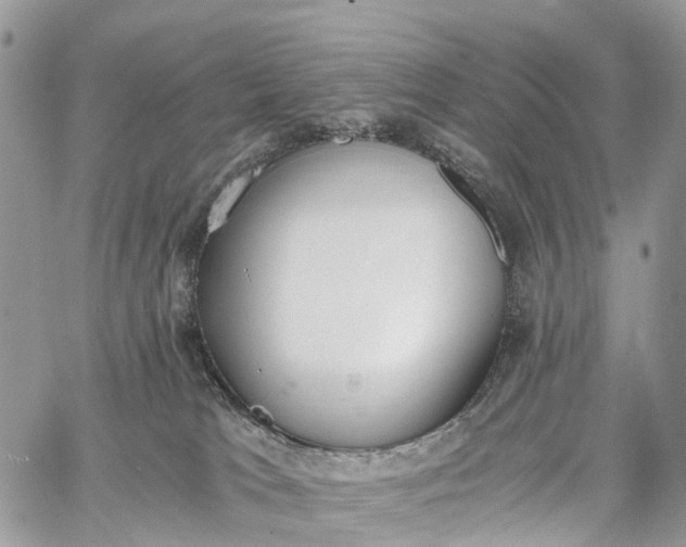 X0000062670037200601041021