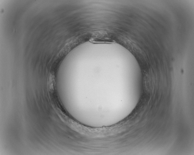 X0000062670038200601041021