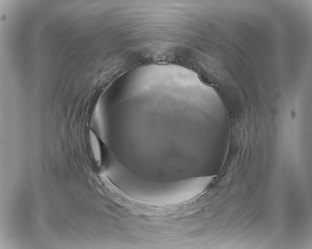 X0000062670039200601041021